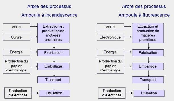 valuation Environnementale Et Analyse De Cycle De Vie Etape 1 Arbre valuation Environnementale Et Analyse De Cycle De Vie Etape 1 Arbre